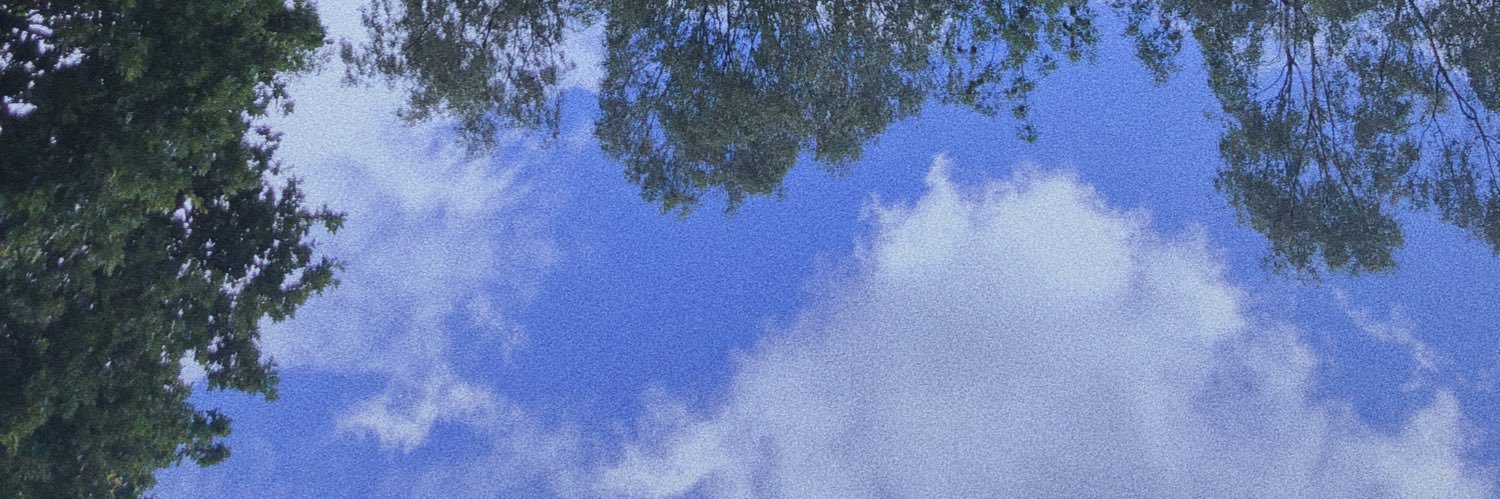 dxmitri's profile banner image