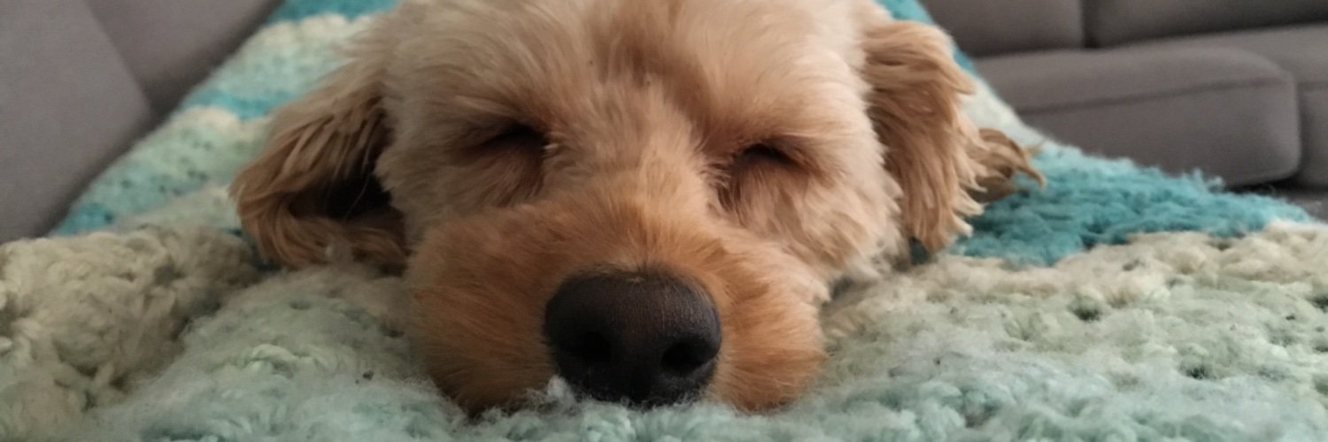 GaryGaryMok's profile banner image