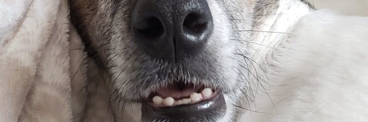 JaCrispy7's profile banner image