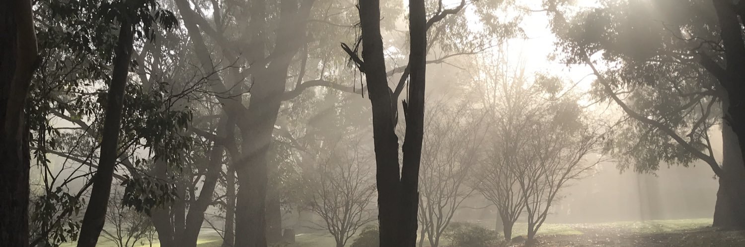 bookwormner's profile banner image