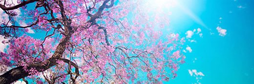 benkoepsell's profile banner image