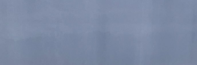 Rachel Wilkens banner