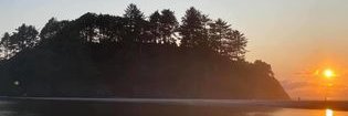 pamfell's profile banner image