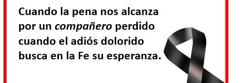 roque banner
