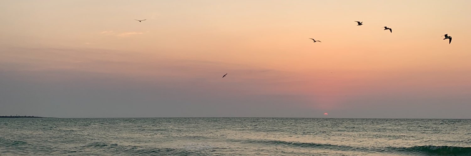 drewlovescami's profile banner image