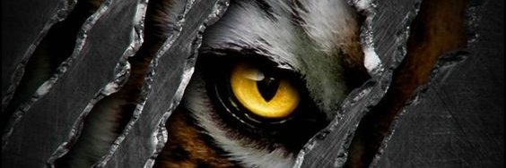 Brunoarnold's profile banner image