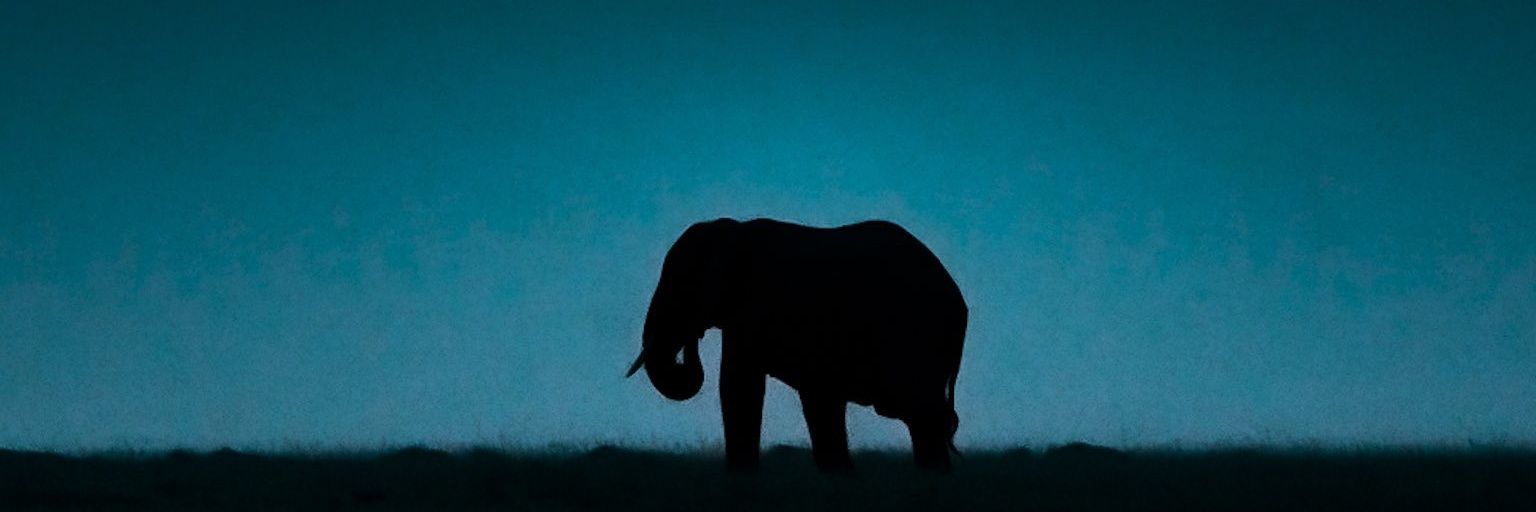 hhlndr's profile banner image