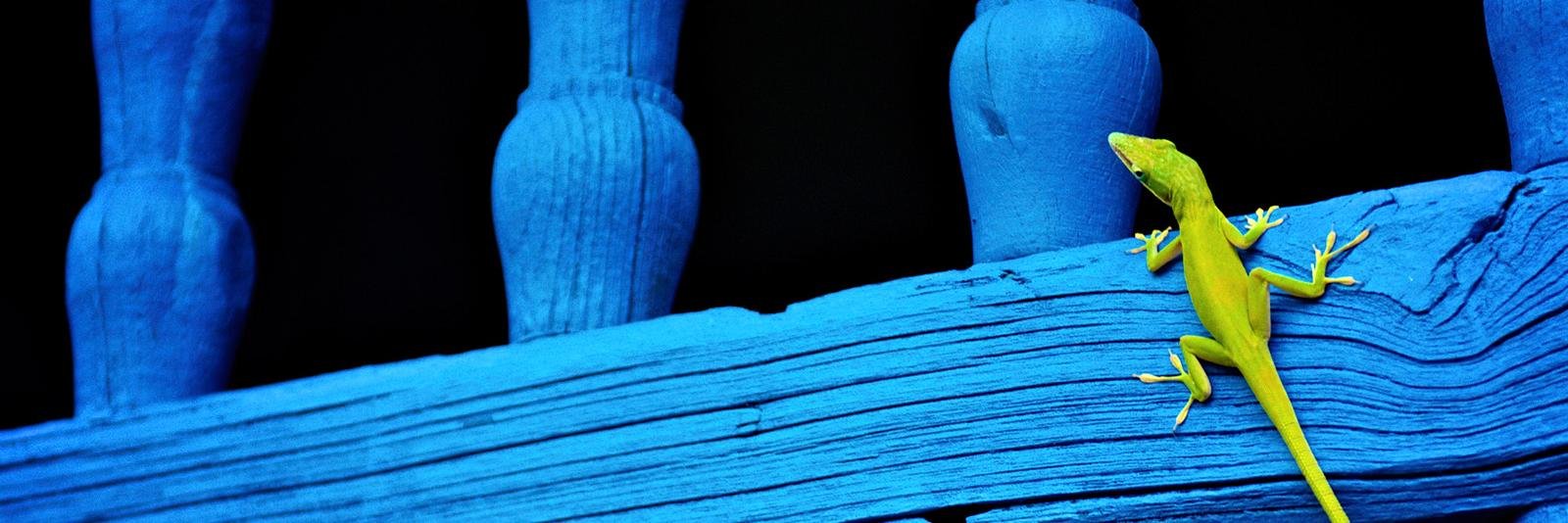 mouchist's profile banner image