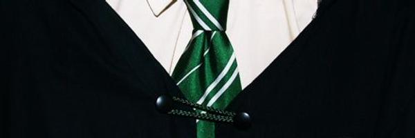 HSI_MillicentB's profile banner image