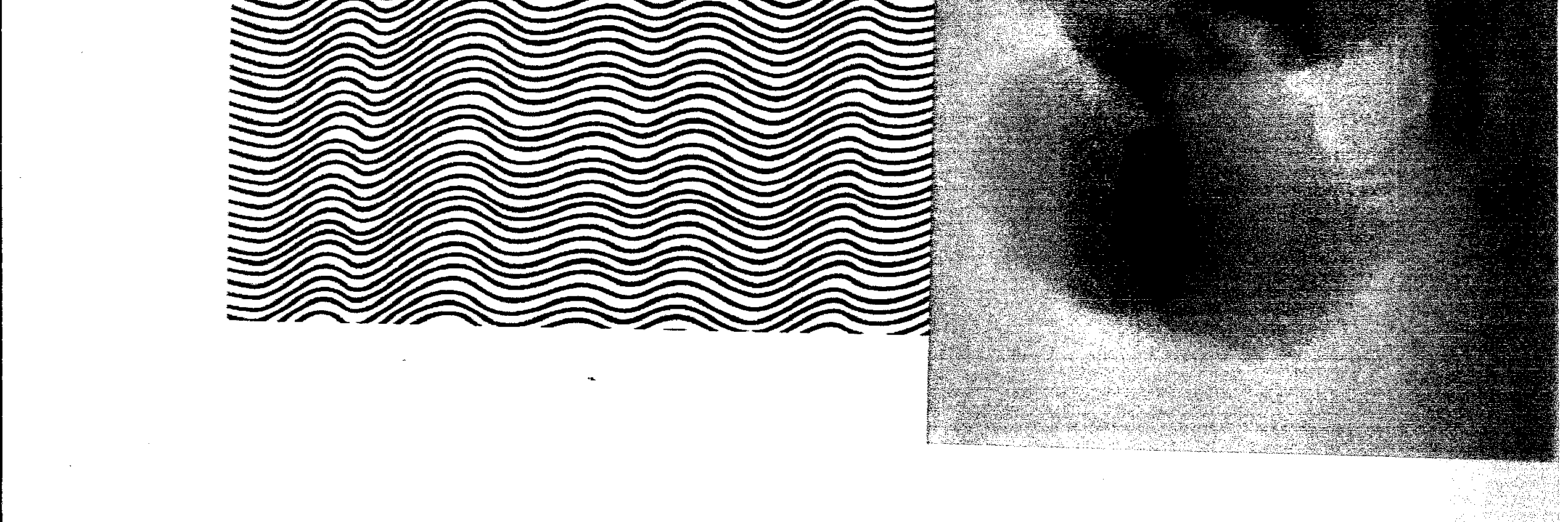 Olya Dyer banner