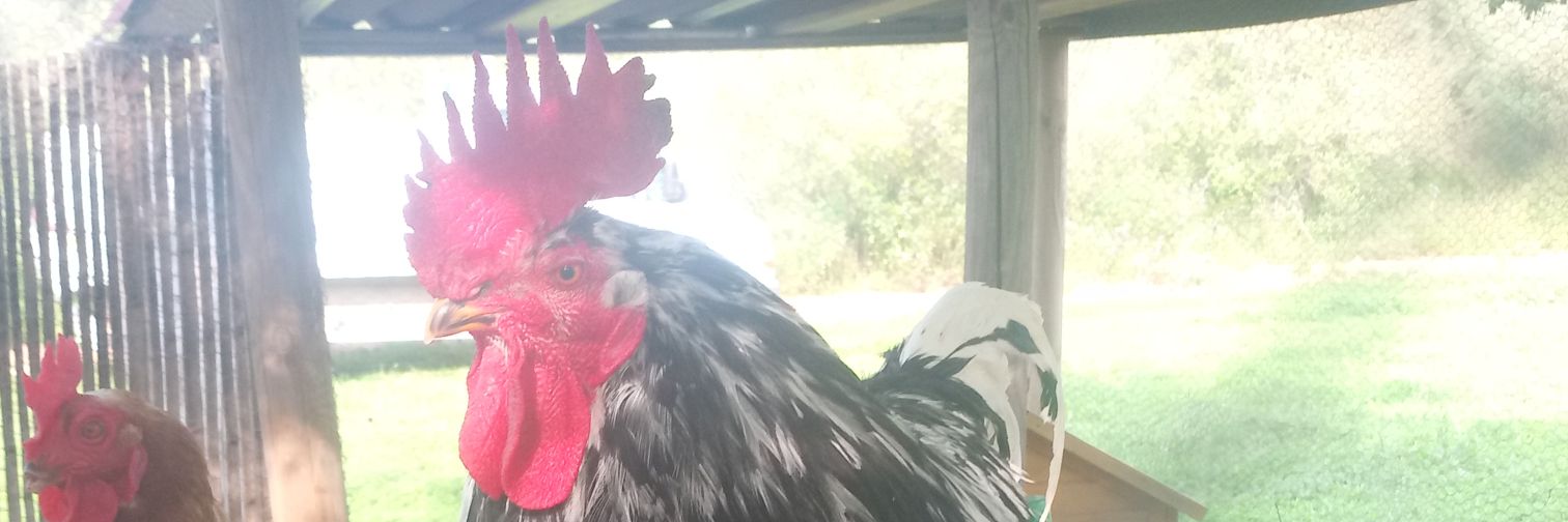 JoverFerran's profile banner image