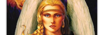 RASHMI DROLIA banner