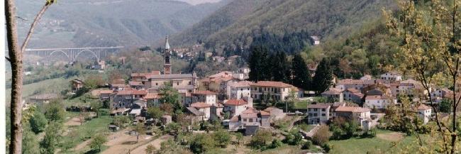 Davide Ghidone banner