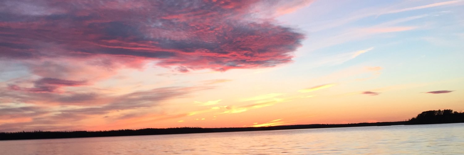 JonaPet's profile banner image