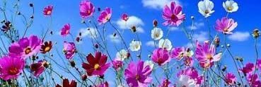 romina250574's profile banner image