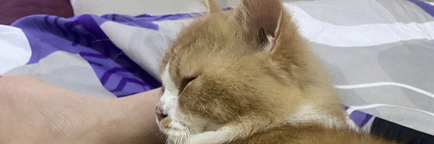 Chrnns___'s profile banner image
