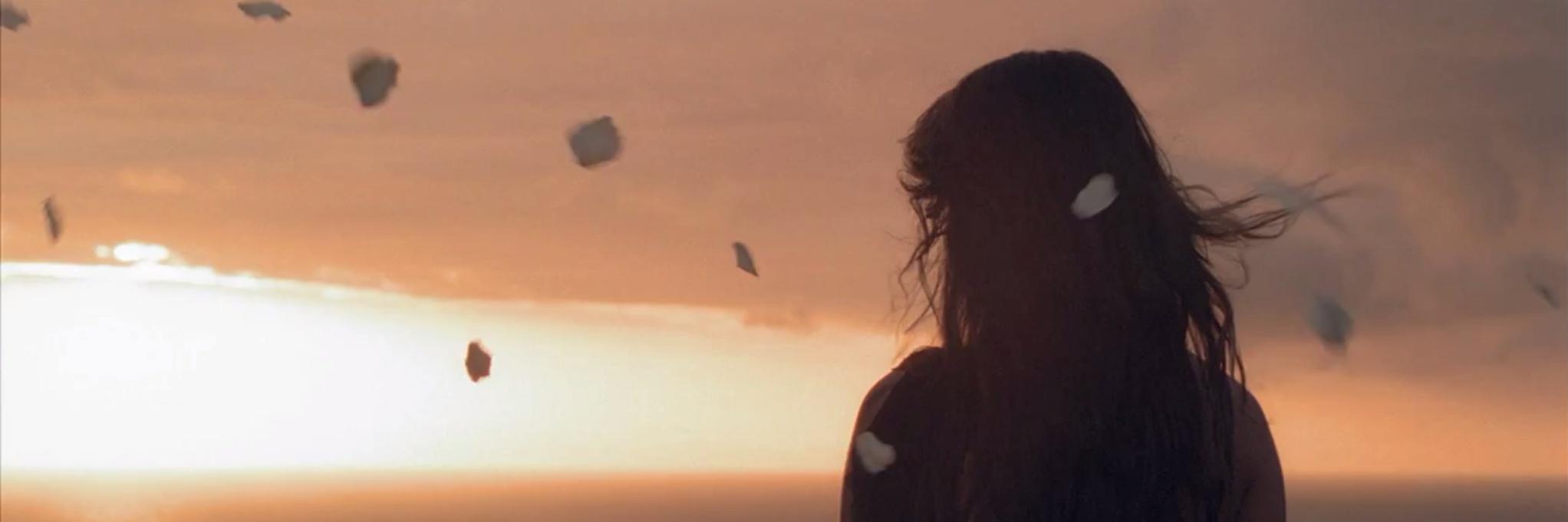 milnerdiane's profile banner image
