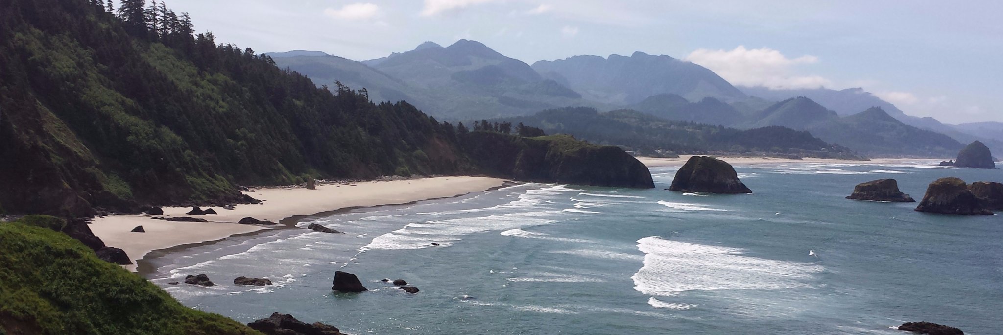 Sharon Salyer banner