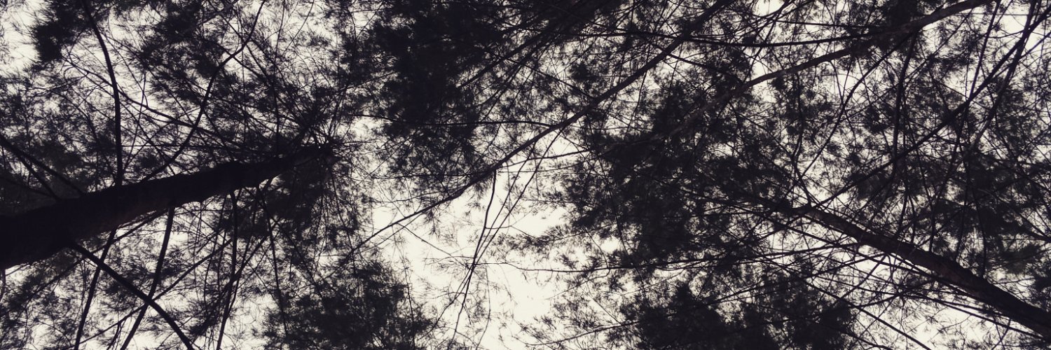 arifseboh's profile banner image