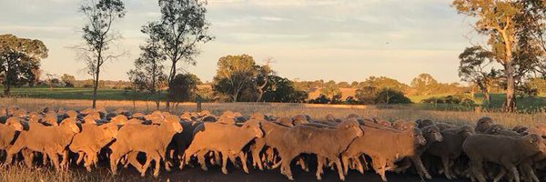 MichaelClose33 Profile Banner