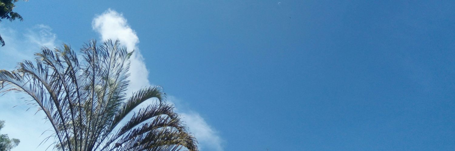 #FreePalestine banner