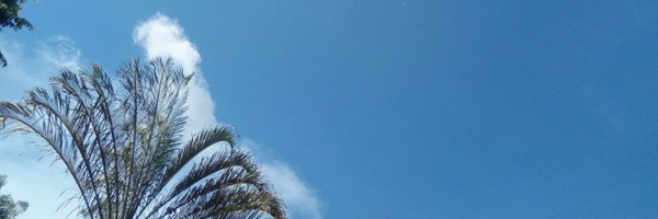 hjimran Profile Banner