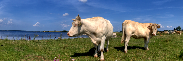 FarmMatters's profile banner image