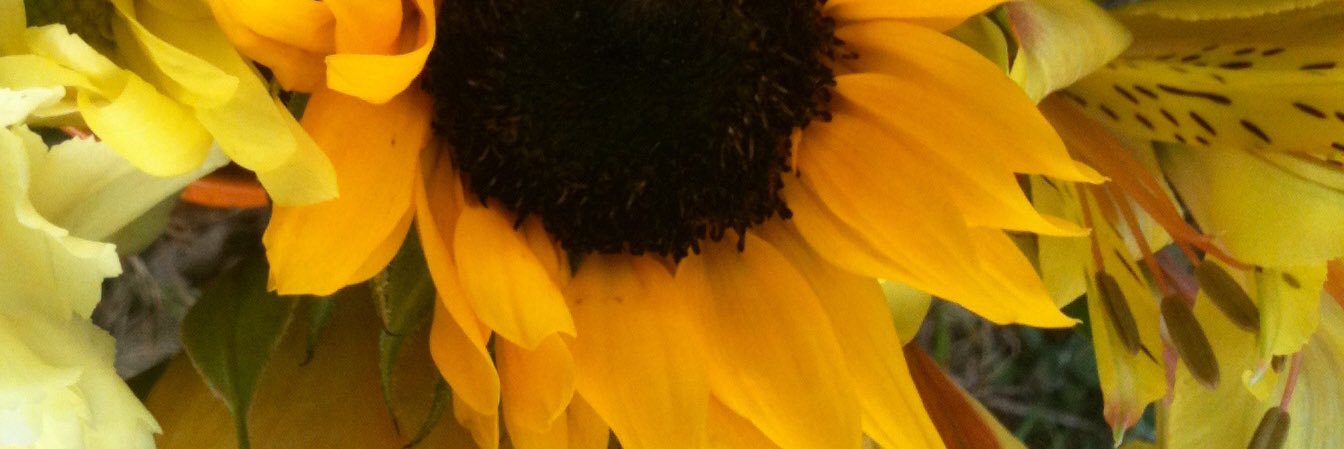 Brittaloni's profile banner image
