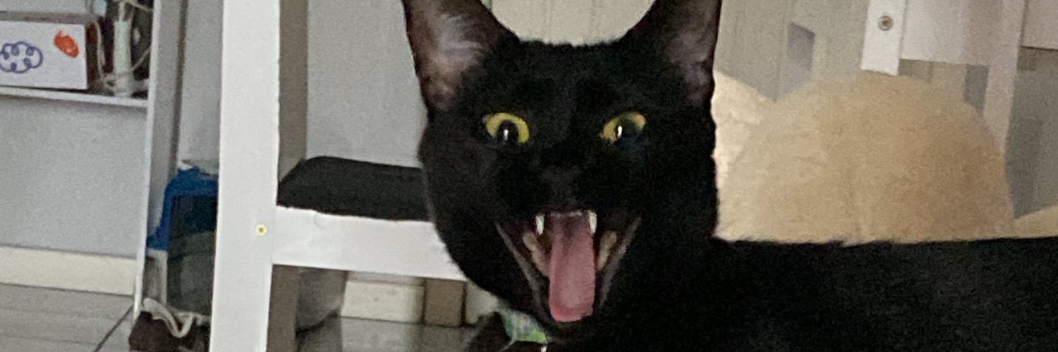 Meufurebis's profile banner image