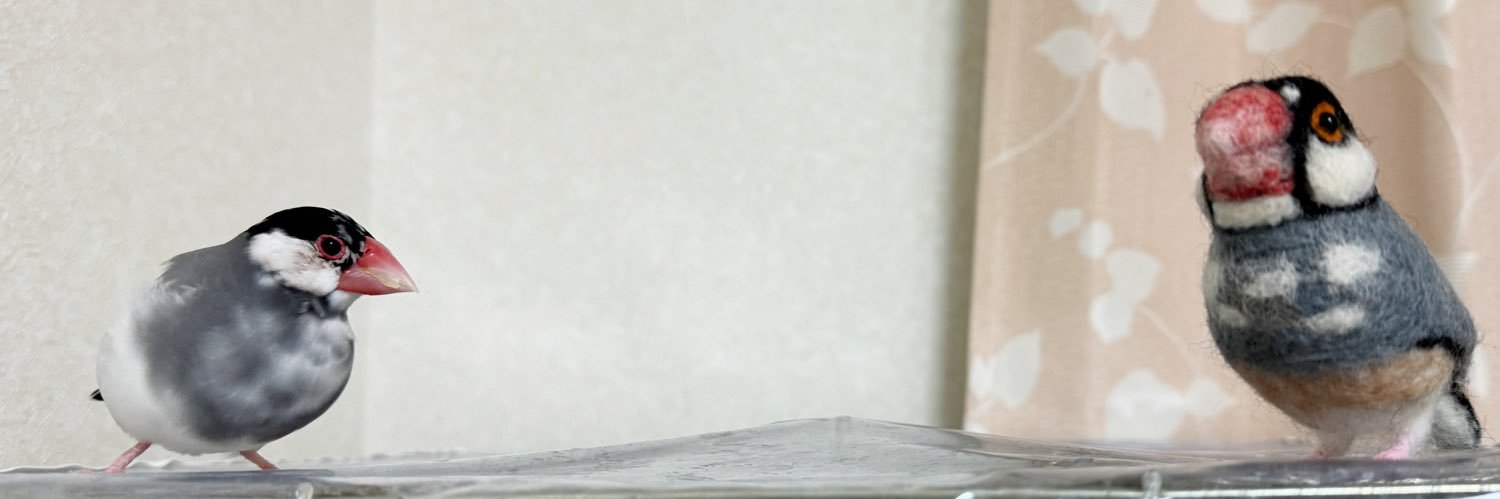 urupoohchan's profile banner image
