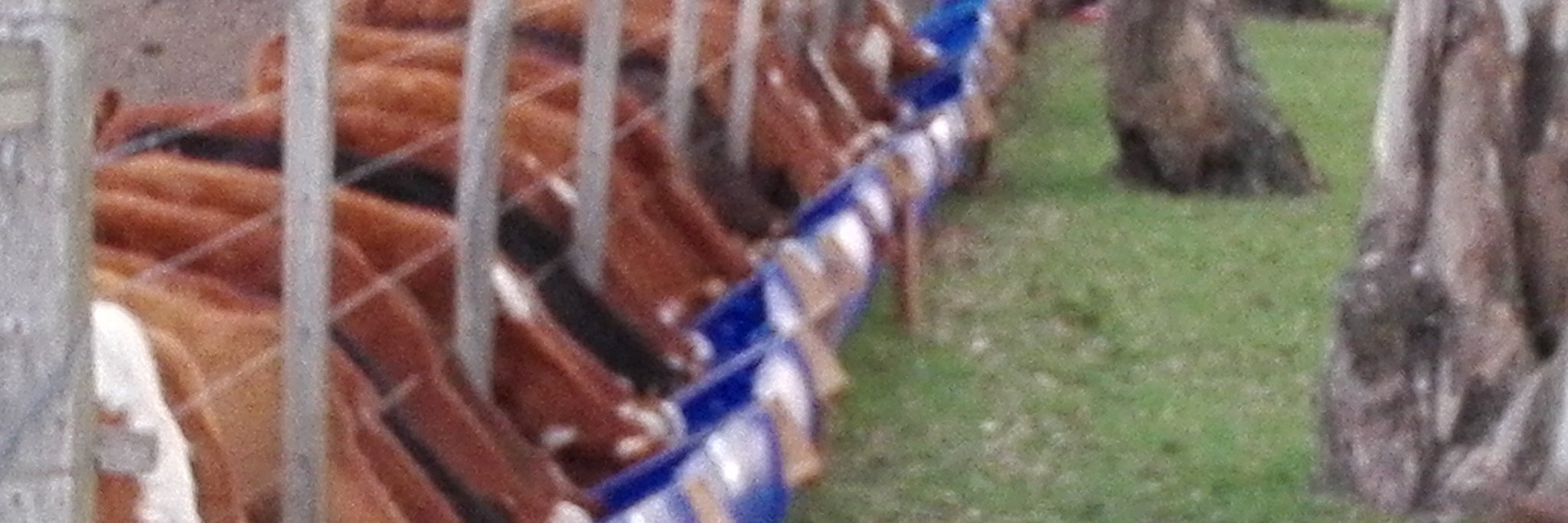 juanrabe's profile banner image