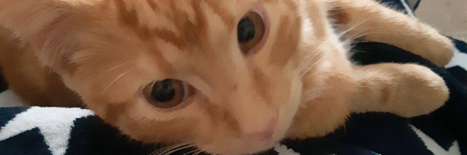 sandydee67's profile banner image