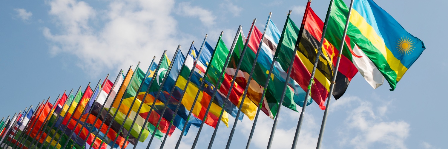 Ministry of Foreign Affairs & Int'l Cooperation's banner