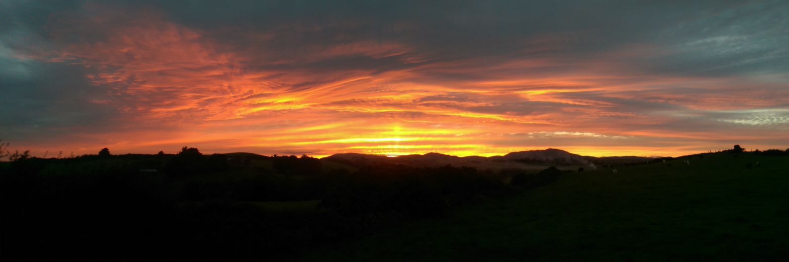 Jackie Lismore banner