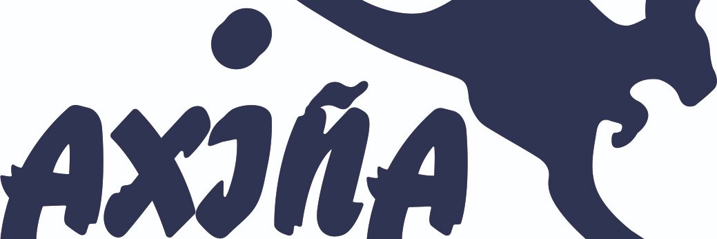 AxinaSD's profile banner image