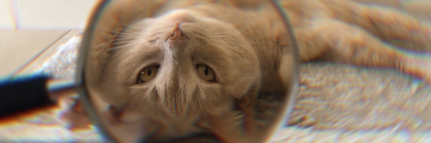 tayhefff's profile banner image