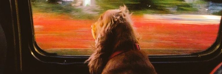 mancpunk's profile banner image