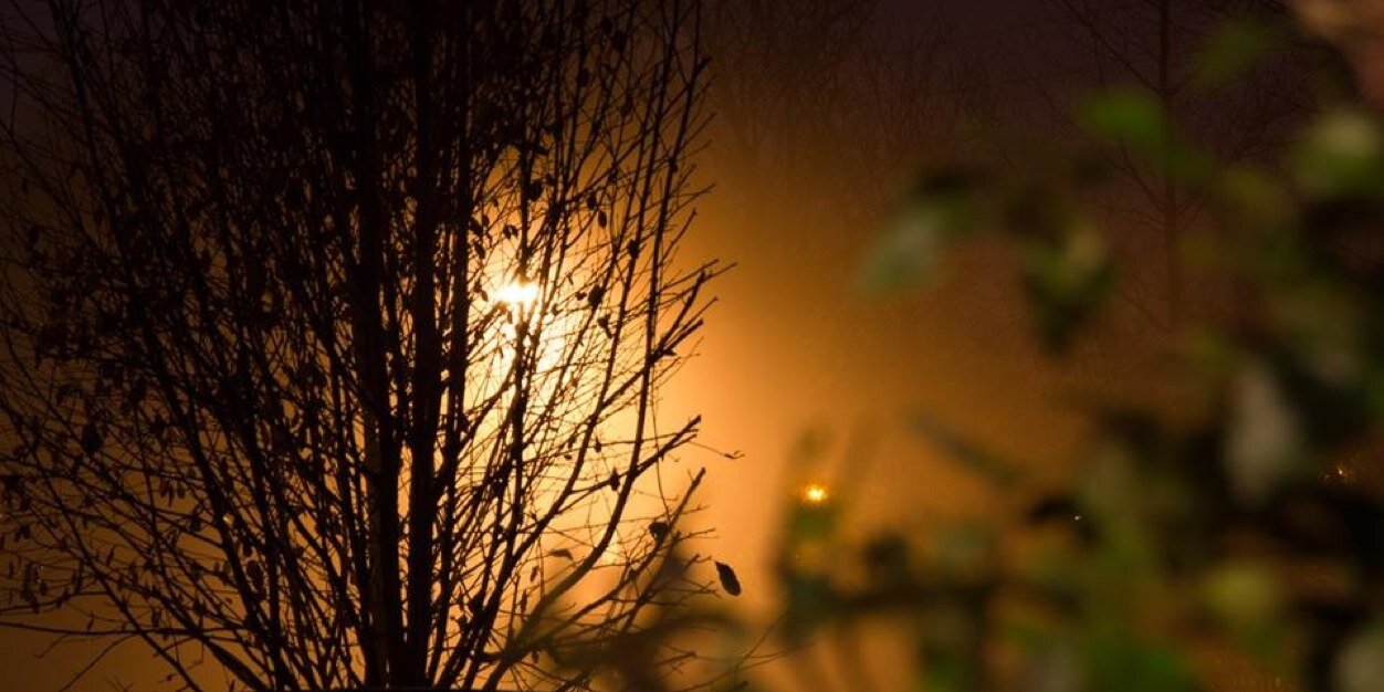 MidTeaPhoto's profile banner image