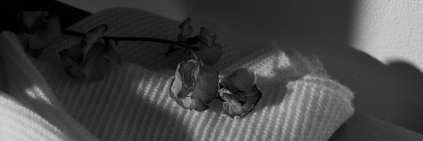 tsecashmere Profile Banner