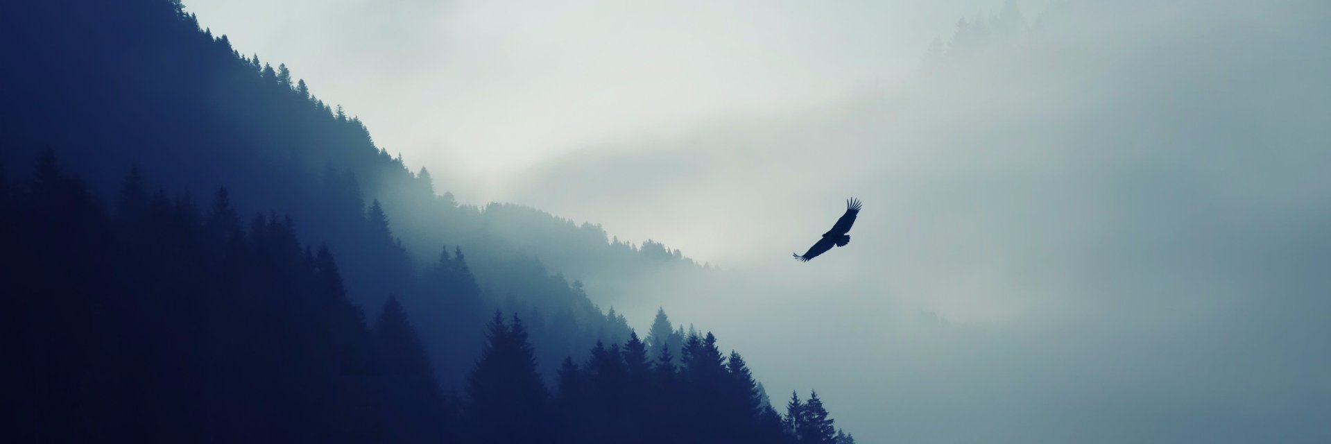 lamakai88's profile banner image