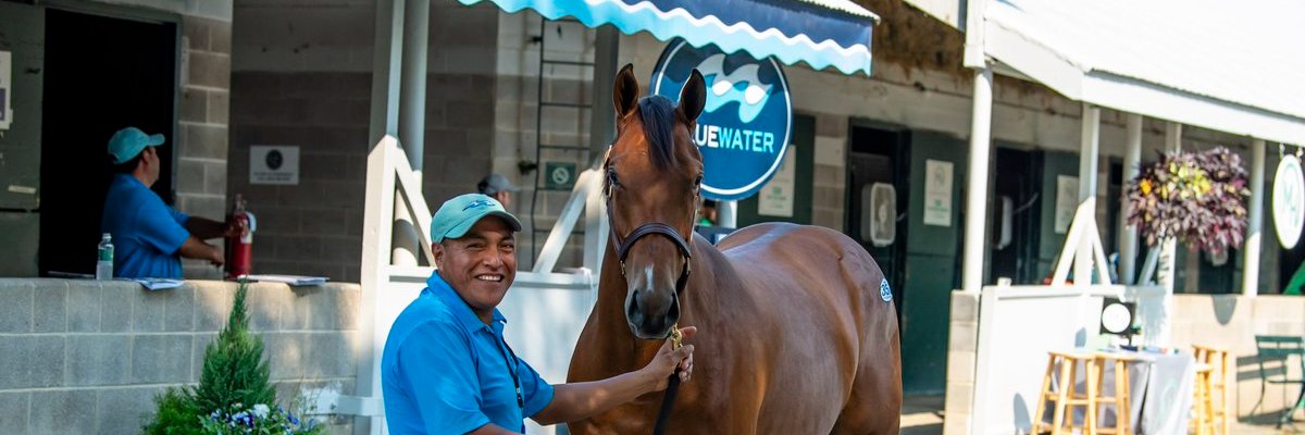 BluewaterSales's profile banner image