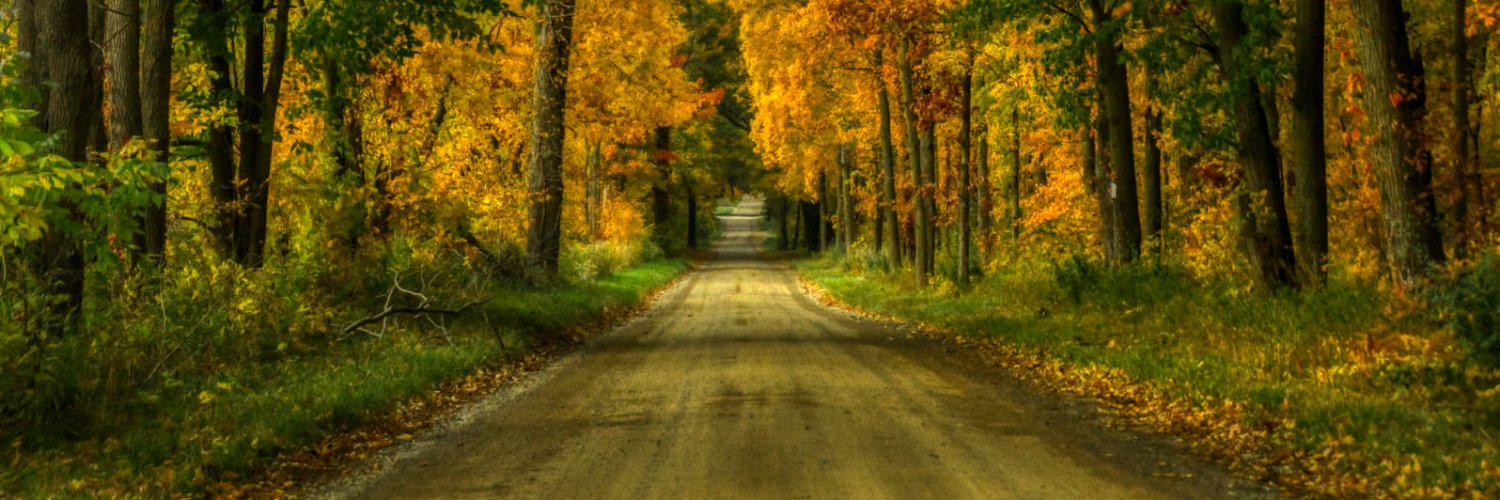 Simon Bar Sinister banner