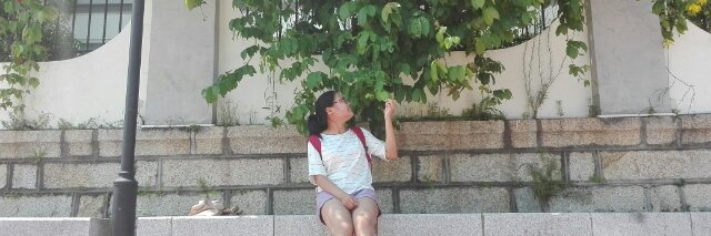 MuirinMiao's profile banner image