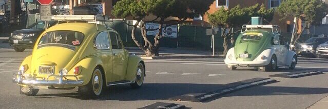 shell ma belle banner