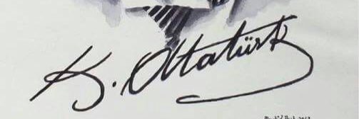 merimuge's profile banner image