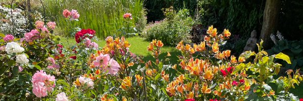 wiseowl53 Profile Banner