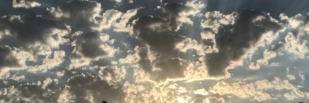 SedentAdvis's profile banner image