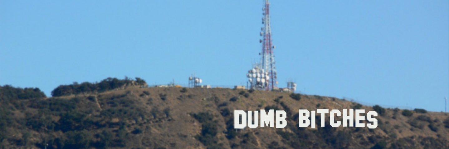 Dumb Bitches w/ Internet banner