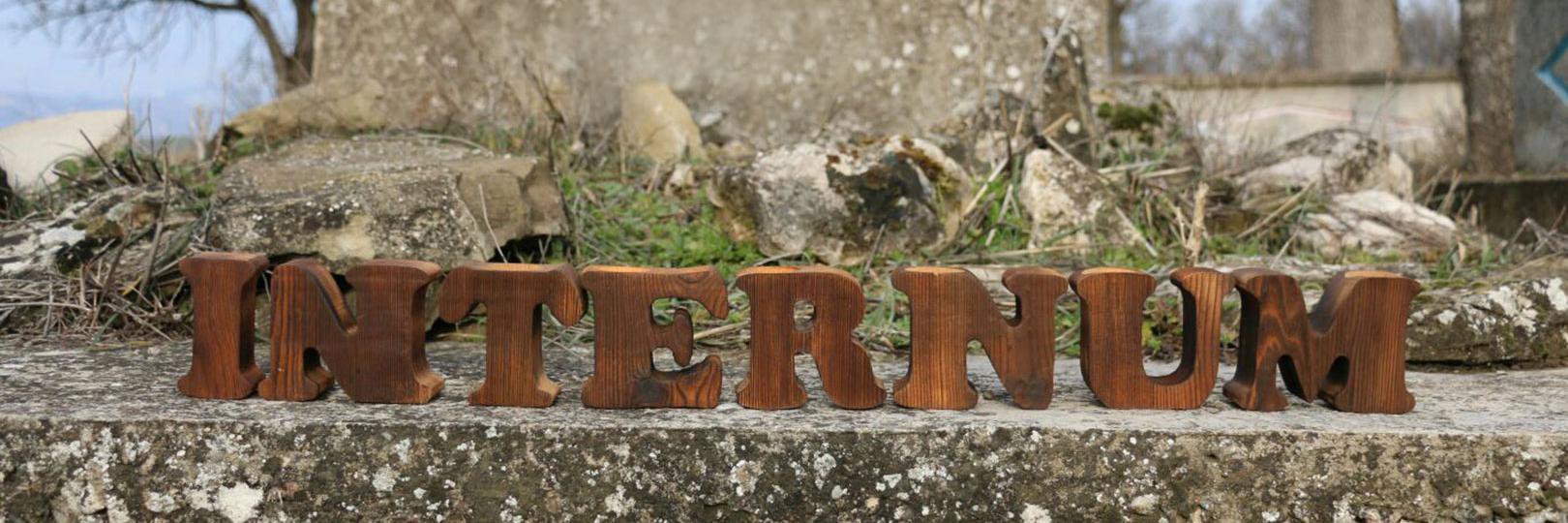 Inetrum banner