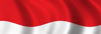 IndoDigdaya's profile banner image